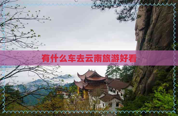 有什么车去云南旅游好看