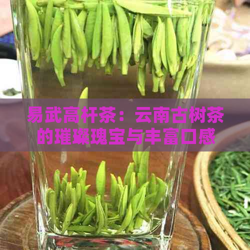 易武高杆茶：云南古树茶的璀璨瑰宝与丰富口感