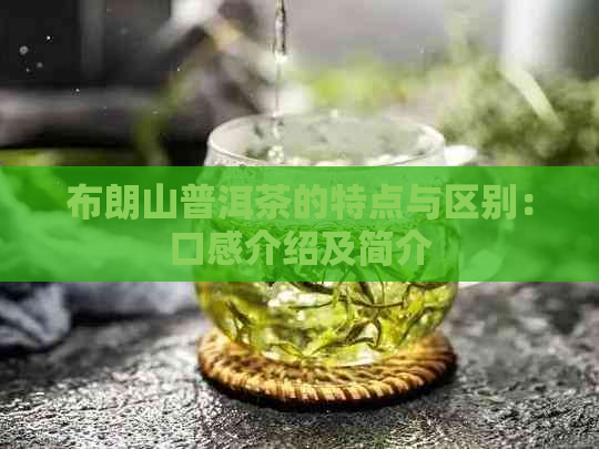 布朗山普洱茶的特点与区别：口感介绍及简介