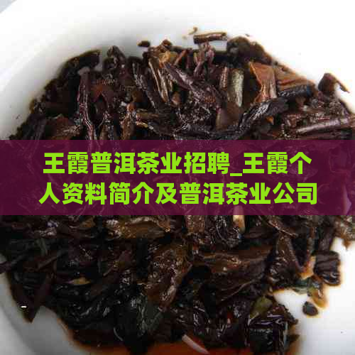 王霞普洱茶业招聘_王霞个人资料简介及普洱茶业公司官网