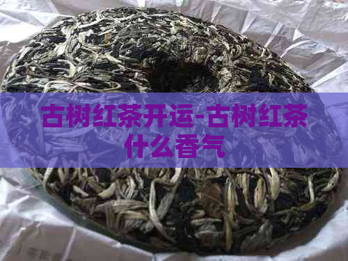 古树红茶开运-古树红茶什么香气