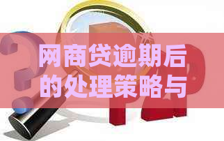 网商贷逾期后的处理策略与分期还款可行性探讨