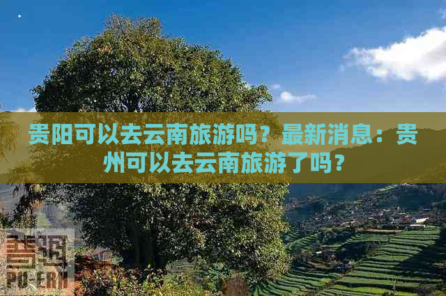 贵阳可以去云南旅游吗？最新消息：贵州可以去云南旅游了吗？