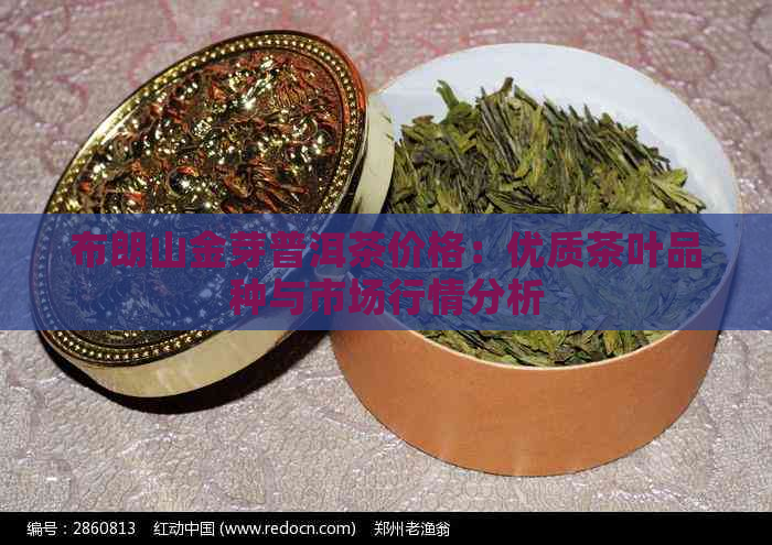 布朗山金芽普洱茶价格：优质茶叶品种与市场行情分析