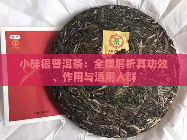 小碎银普洱茶：全面解析其功效、作用与适用人群