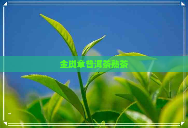 金斑章普洱茶熟茶