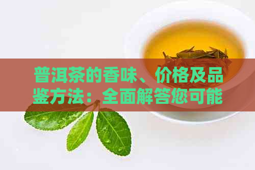 普洱茶的香味、价格及品鉴方法：全面解答您可能关心的问题