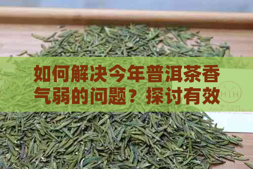 如何解决今年普洱茶香气弱的问题？探讨有效方法与原因