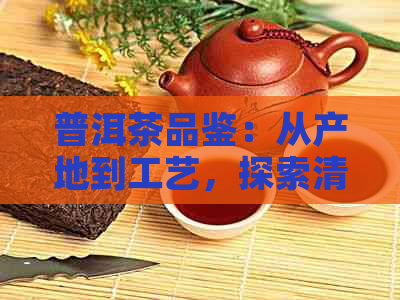 普洱茶品鉴：从产地到工艺，探索清韵普洱茶的魅力与口感