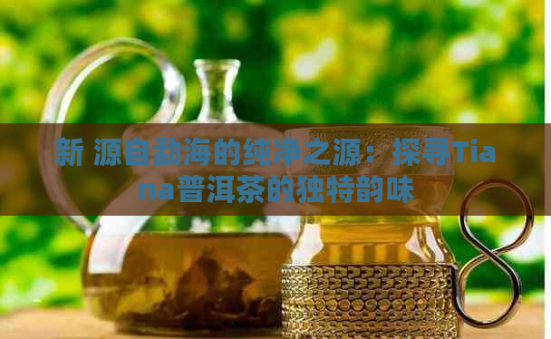 新 源自勐海的纯净之源：探寻Tiana普洱茶的独特韵味