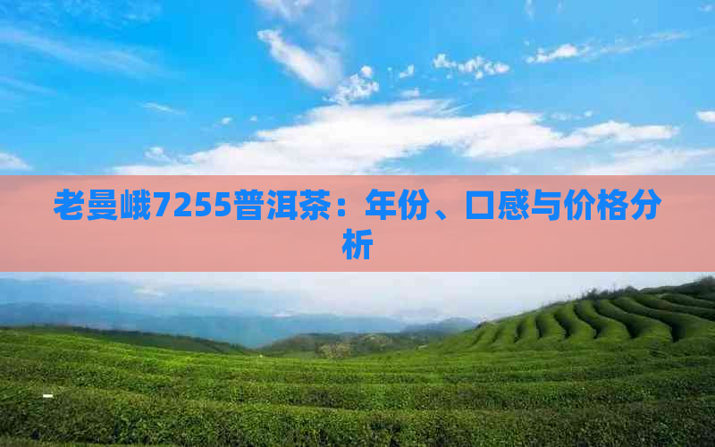 老曼峨7255普洱茶：年份、口感与价格分析