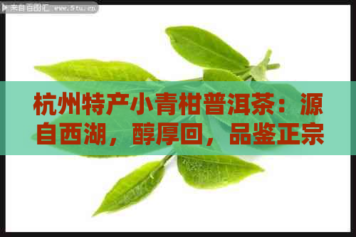 杭州特产小青柑普洱茶：源自西湖，醇厚回，品鉴正宗云南风味