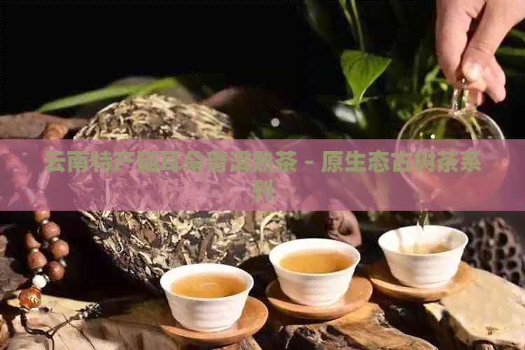 云南特产猫耳朵普洱熟茶 - 原生态古树茶系列