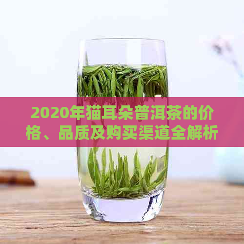 2020年猫耳朵普洱茶的价格、品质及购买渠道全解析，让你轻松挑选好茶！