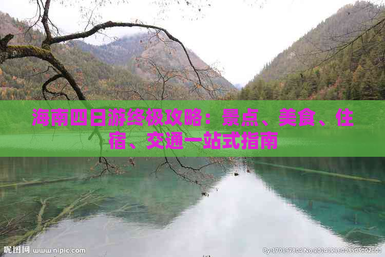 海南四日游终极攻略：景点、美食、住宿、交通一站式指南