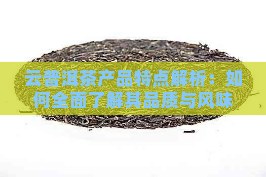 云普洱茶产品特点解析：如何全面了解其品质与风味？