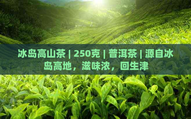 冰岛高山茶 | 250克 | 普洱茶 | 源自冰岛高地，滋味浓，回生津