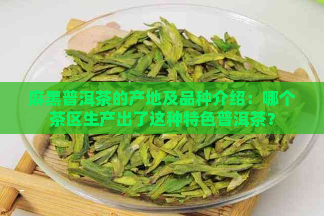 麻黑普洱茶的产地及品种介绍：哪个茶区生产出了这种特色普洱茶？