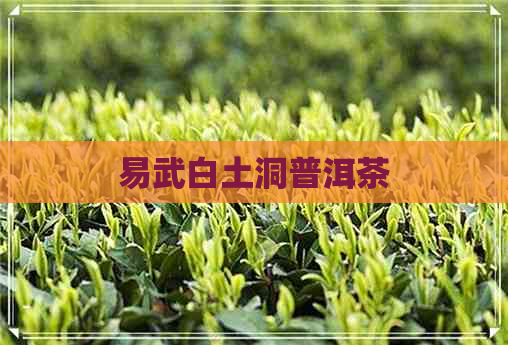 易武白土洞普洱茶