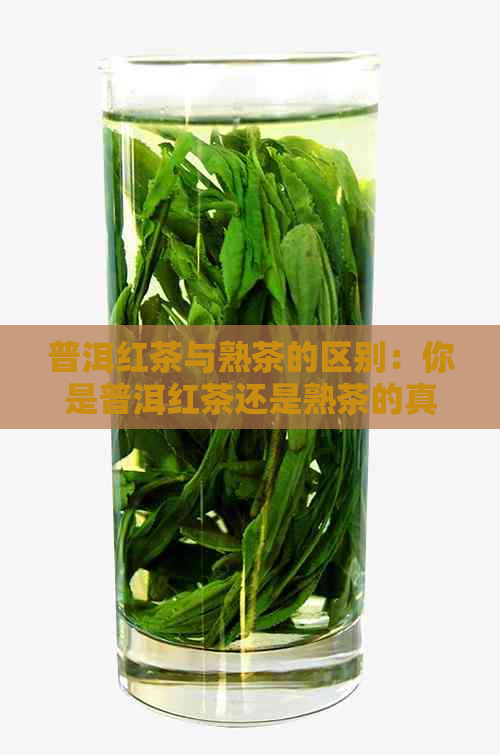 普洱红茶与熟茶的区别：你是普洱红茶还是熟茶的真正爱好者？