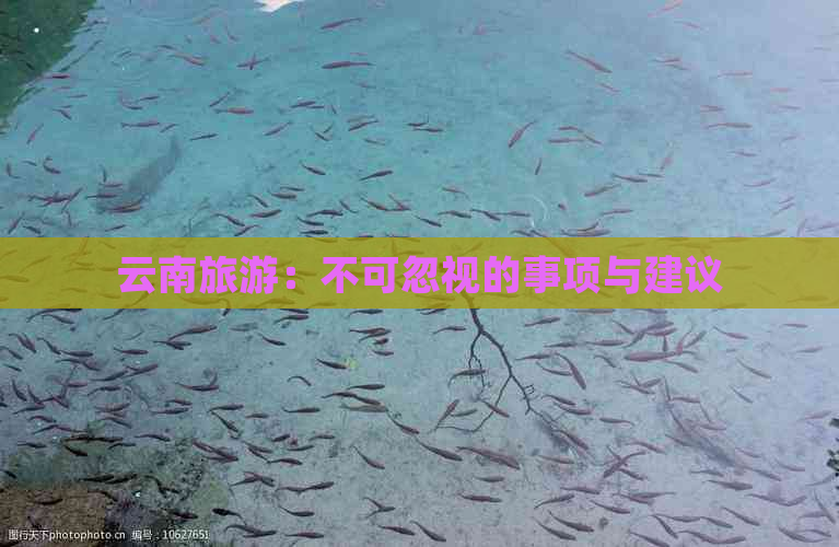 云南旅游：不可忽视的事项与建议