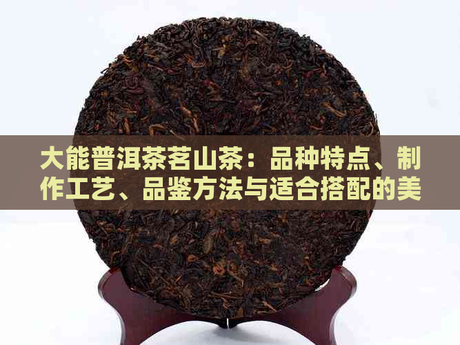 大能普洱茶茗山茶：品种特点、制作工艺、品鉴方法与适合搭配的美食全解析