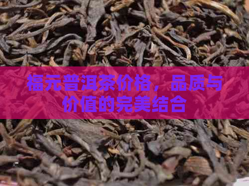 福元普洱茶价格，品质与价值的完美结合