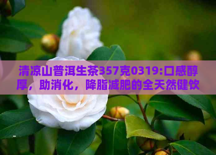 清凉山普洱生茶357克0319:口感醇厚，助消化，降脂减肥的全天然健饮品