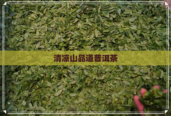 清凉山品道普洱茶