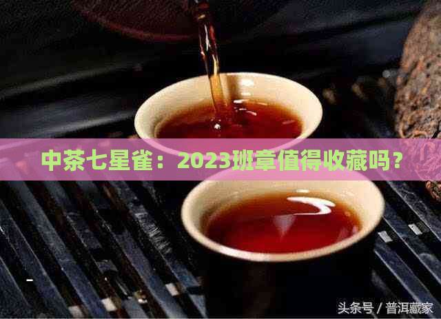 中茶七星雀：2023班章值得收藏吗？