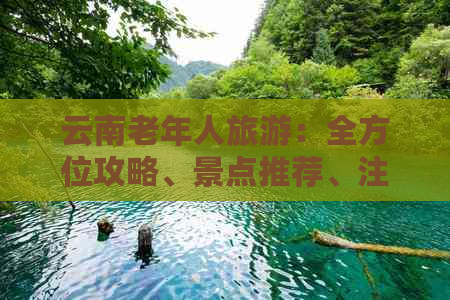 云南老年人旅游：全方位攻略、景点推荐、注意事项及适宜行程安排