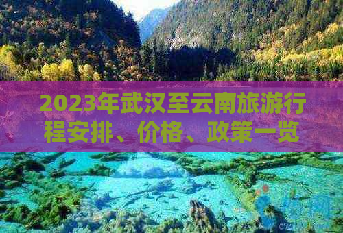 2023年武汉至云南旅     程安排、价格、政策一览：一站式解决您的疑惑