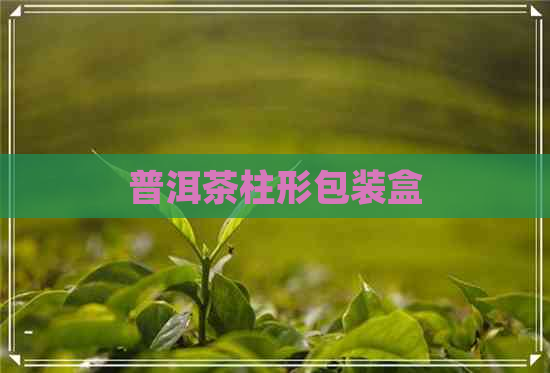 普洱茶柱形包装盒