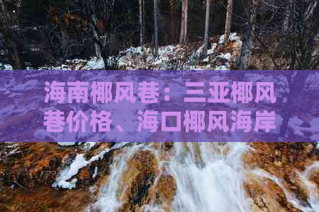 海南椰风巷：三亚椰风巷价格、海口椰风海岸地址与椰风寨食品公司信息2020