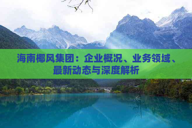 海南椰风集团：企业概况、业务领域、最新动态与深度解析