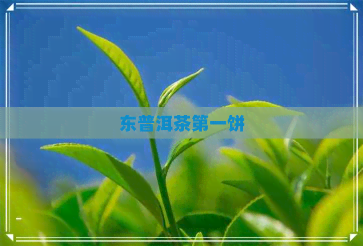 东普洱茶之一饼