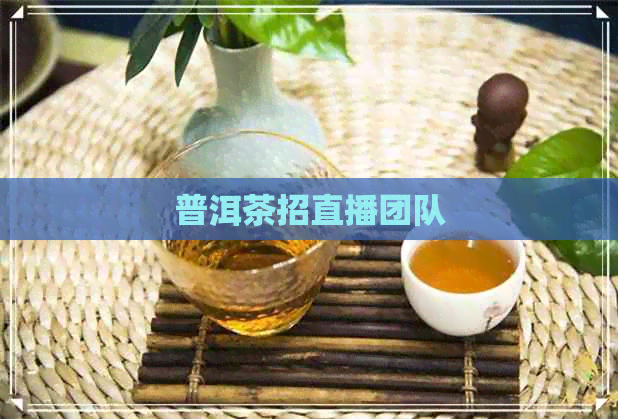 普洱茶招直播团队