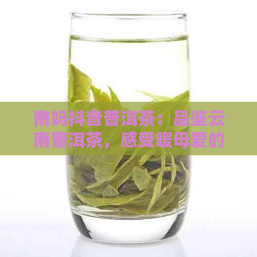 南妈抖音普洱茶：品鉴云南普洱茶，感受暖母爱的味道。