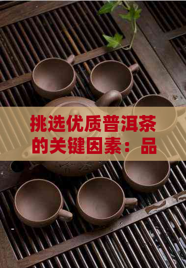 挑选优质普洱茶的关键因素：品质鉴别、新旧对比和口感体验