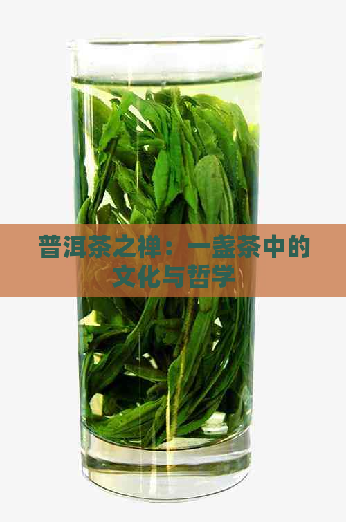 普洱茶之禅：一盏茶中的文化与哲学