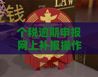 个税逾期申报网上补报操作流程：如何重新申报与处理大厅办理