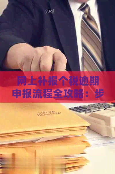 网上补报个税逾期申报流程全攻略：步骤、注意事项与常见问题解答