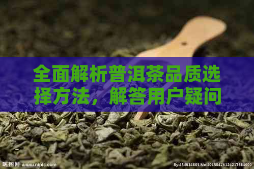 全面解析普洱茶品质选择方法，解答用户疑问，助您轻松挑选优质普洱茶