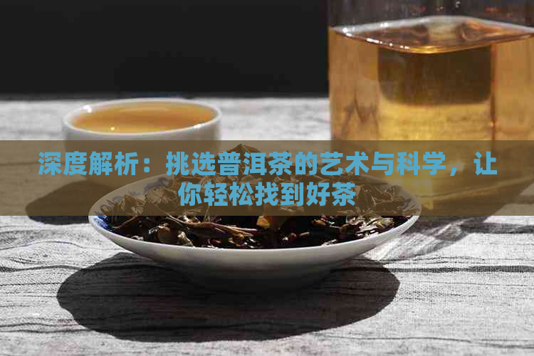 深度解析：挑选普洱茶的艺术与科学，让你轻松找到好茶