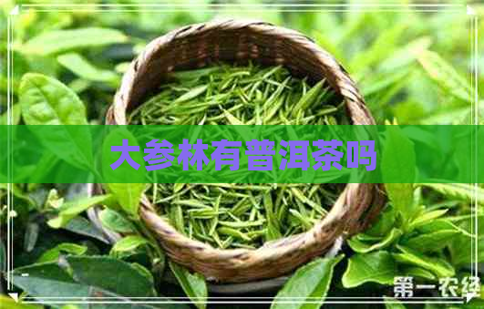 大参林有普洱茶吗