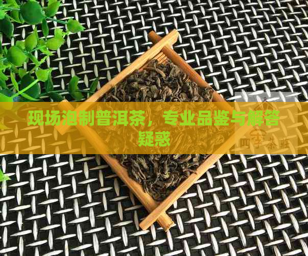 现场泡制普洱茶，专业品鉴与解答疑惑