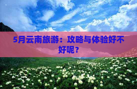 5月云南旅游：攻略与体验好不好呢？