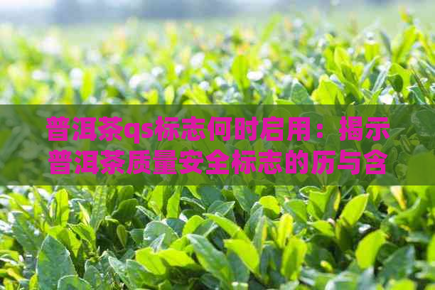 普洱茶qs标志何时启用：揭示普洱茶质量安全标志的历与含义