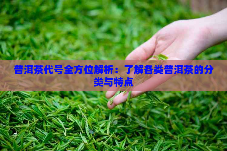 普洱茶代号全方位解析：了解各类普洱茶的分类与特点