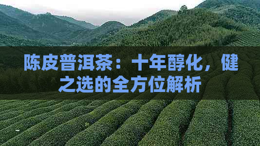 陈皮普洱茶：十年醇化，健之选的全方位解析